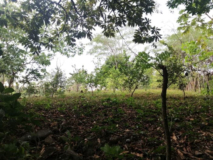Terreno en Venta en Quintas Vallarta Escuintla - foto 2