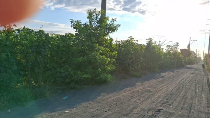 TERRENO EN VENTA EN ESCUINTLA - foto 2