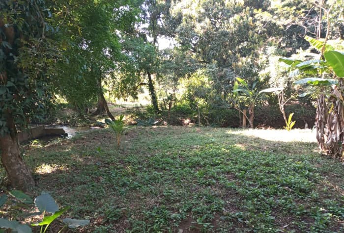 Terreno en Venta en Escuintla - foto 2