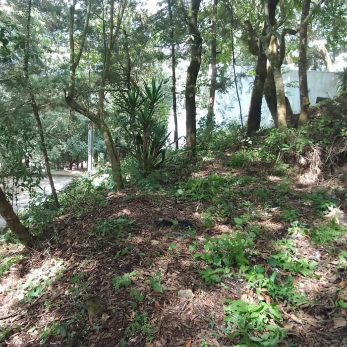 Terreno en Venta en Santa Lucia Milpas Altas  - foto 3