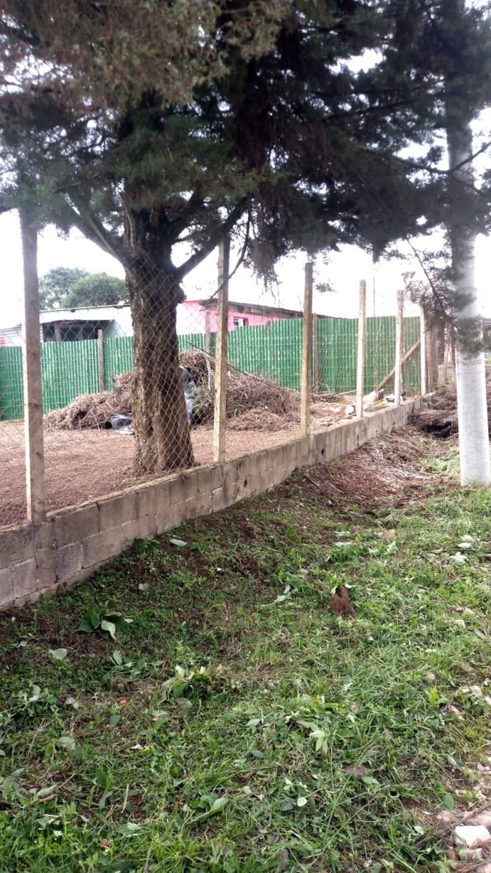 TERRENO EN VENTA EN LO DE DIEGUEZ - FINCA EL MAGUEY - foto 3