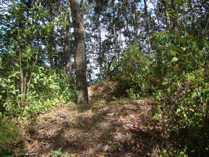 Vendo terreno en Km. 6 a San Jose Pinula Palencia - foto 3