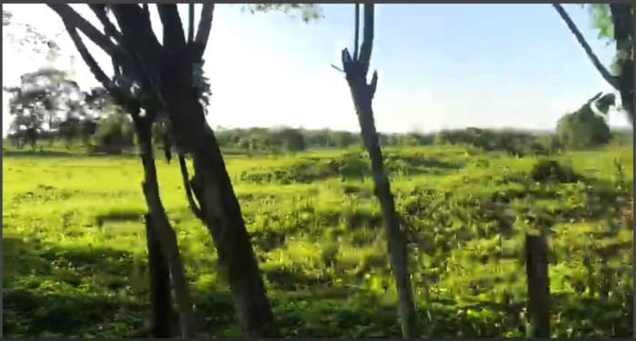 Terreno en Venta en La Libertad, Peten  - foto 3
