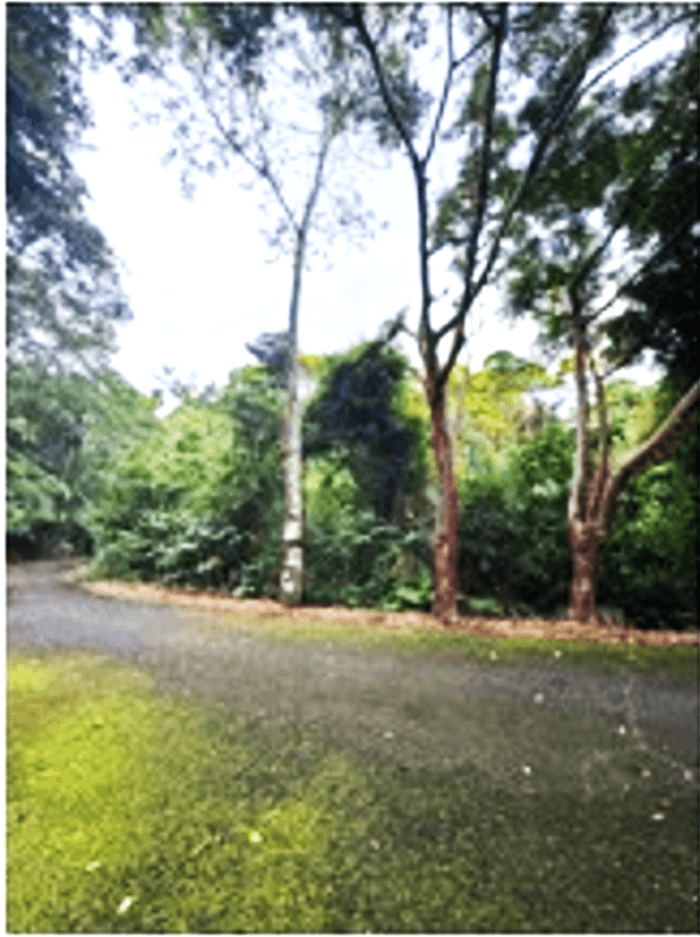 Venta de terreno en izabal		 - foto 3