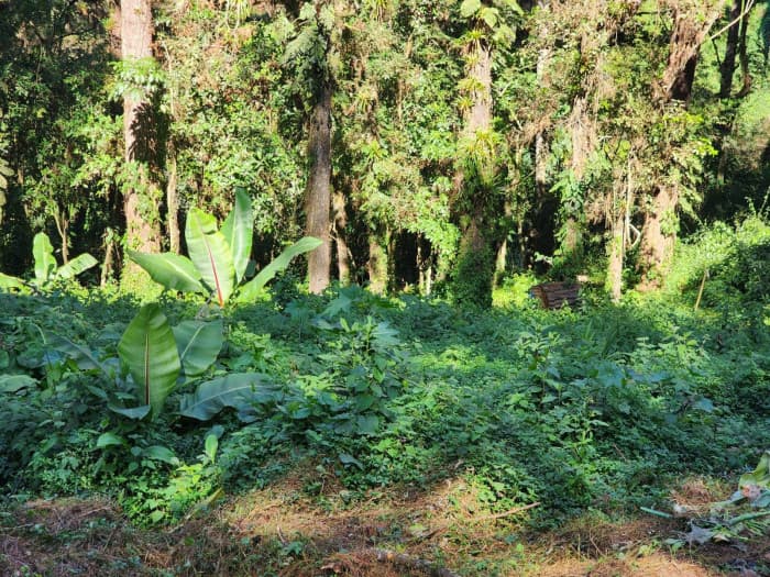 Terreno en Venta en Santa Catarina Pinula - Km 12.5 CES - foto 1