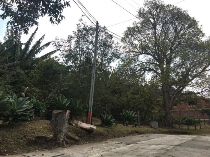 Terreno de 7338 mts2 en venta en Santa Rosalia - foto 1