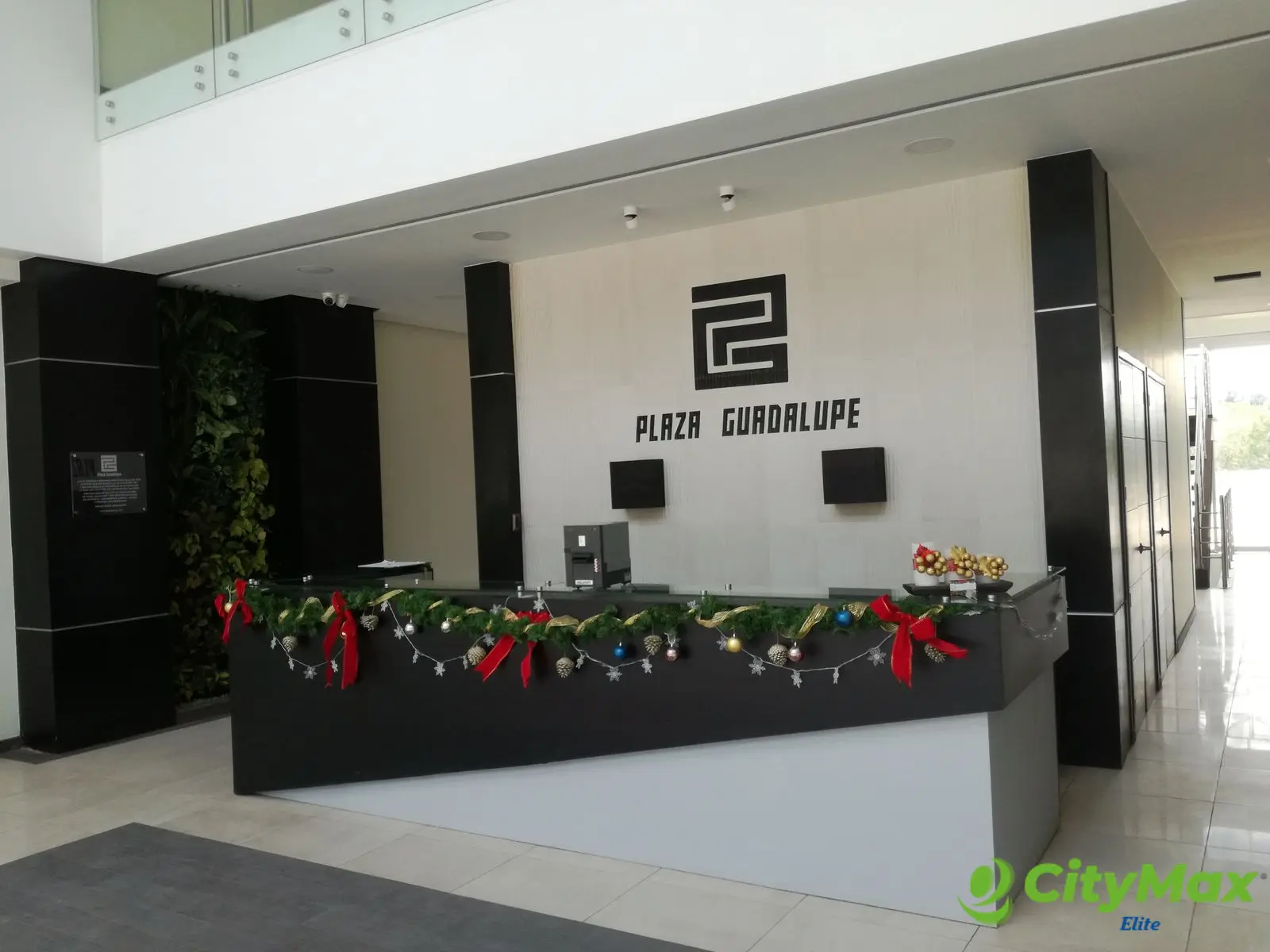 PLAZA GUADALUPE - CENTRO DE NEGOCIOS - foto 2