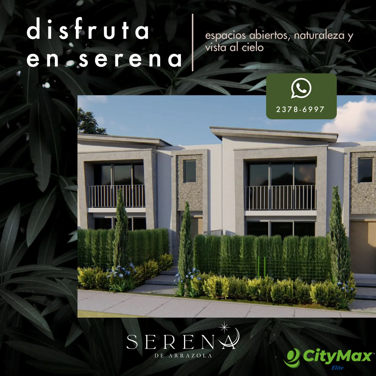 Serena de Arrazola - foto 8