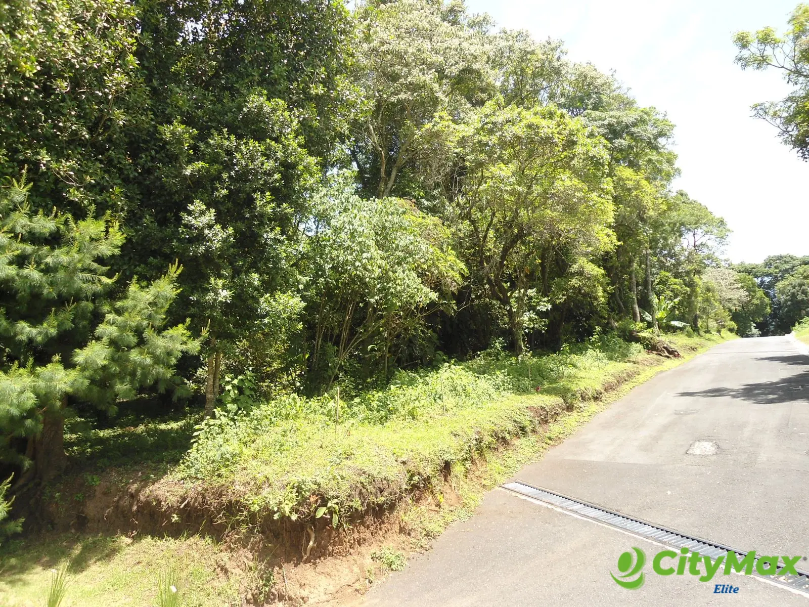Terreno en Venta en San German de la Montaña Fraijanes - foto 1