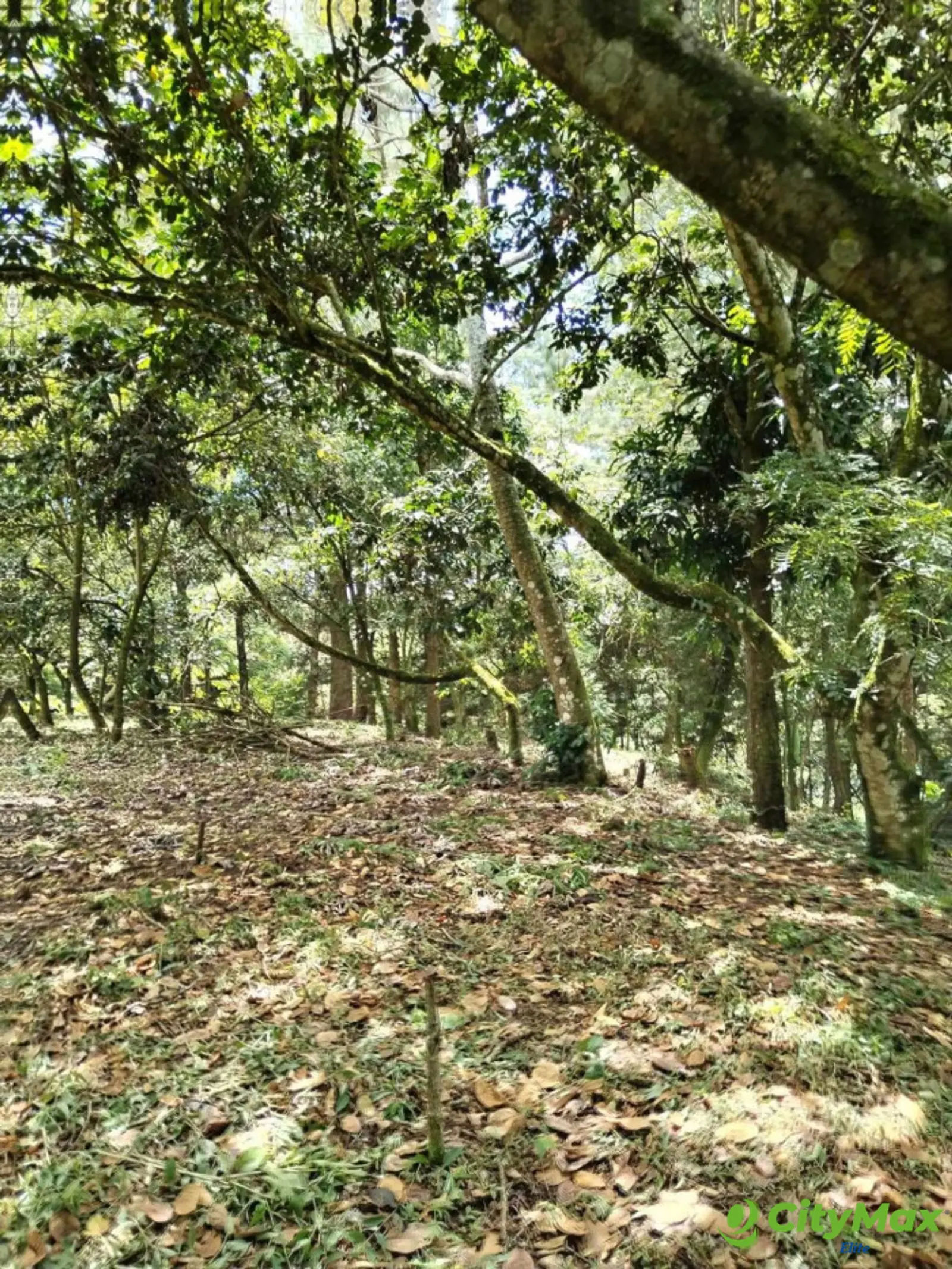 Terreno en Venta en Montebello II - foto 1
