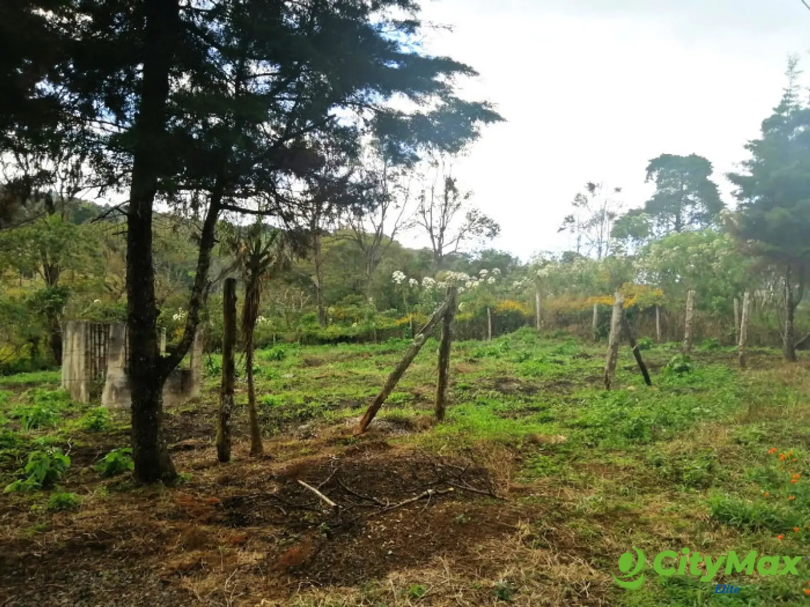 TERRENO RESIDENCIAL EN VENTA EN VILLA CANALES - foto 1
