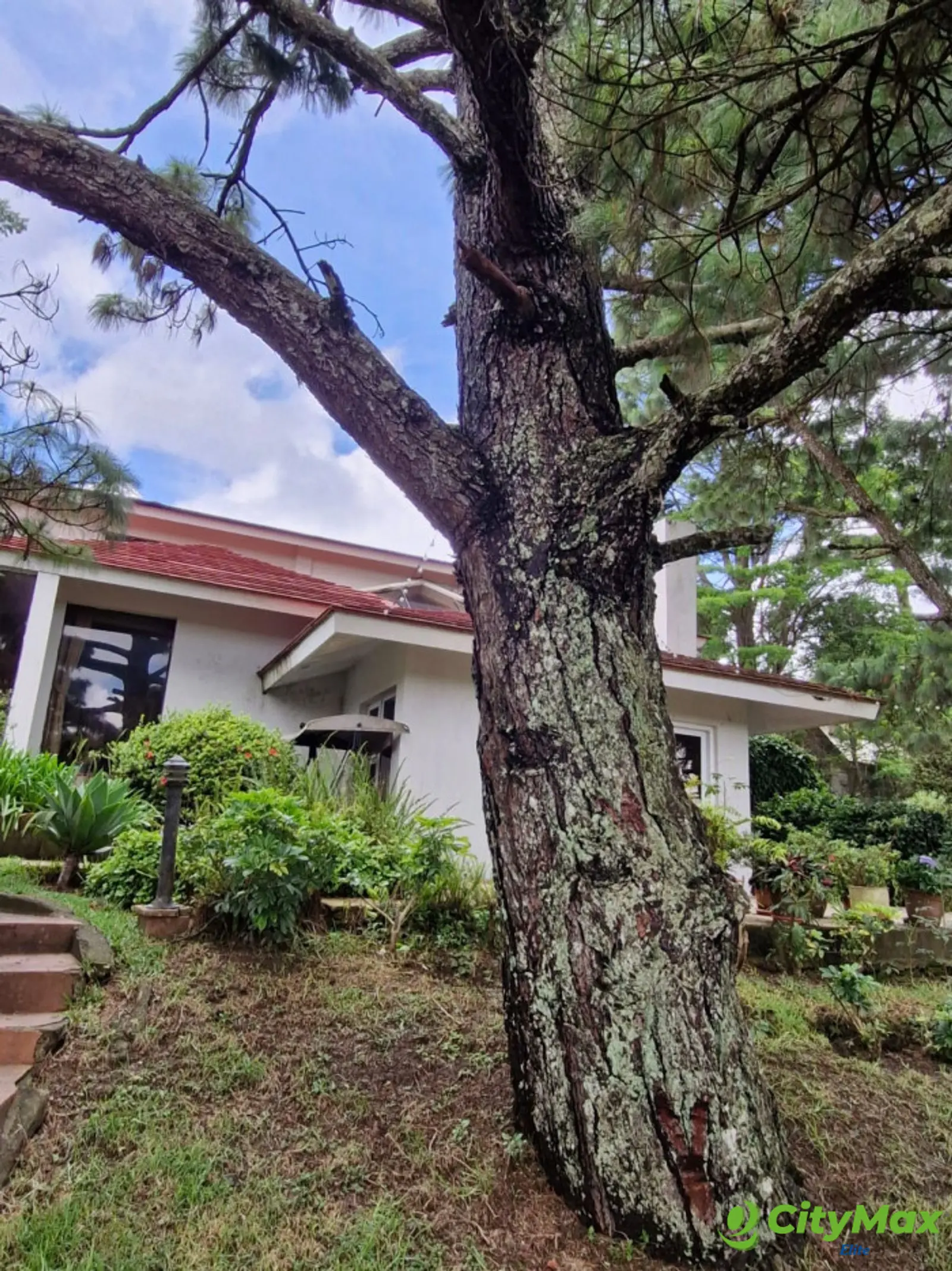 Venta o Renta de Casa - foto 1