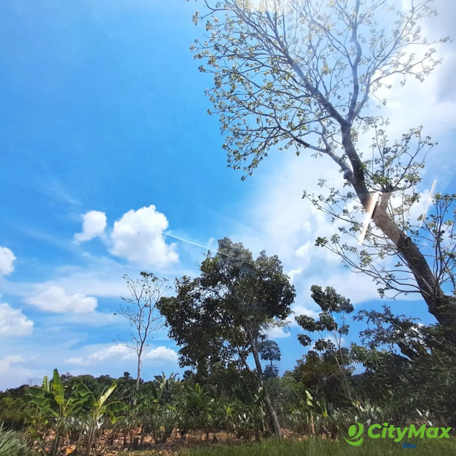 TERRENO RUSTICO EN ALQUILER EN MAZATENANGO - foto 1