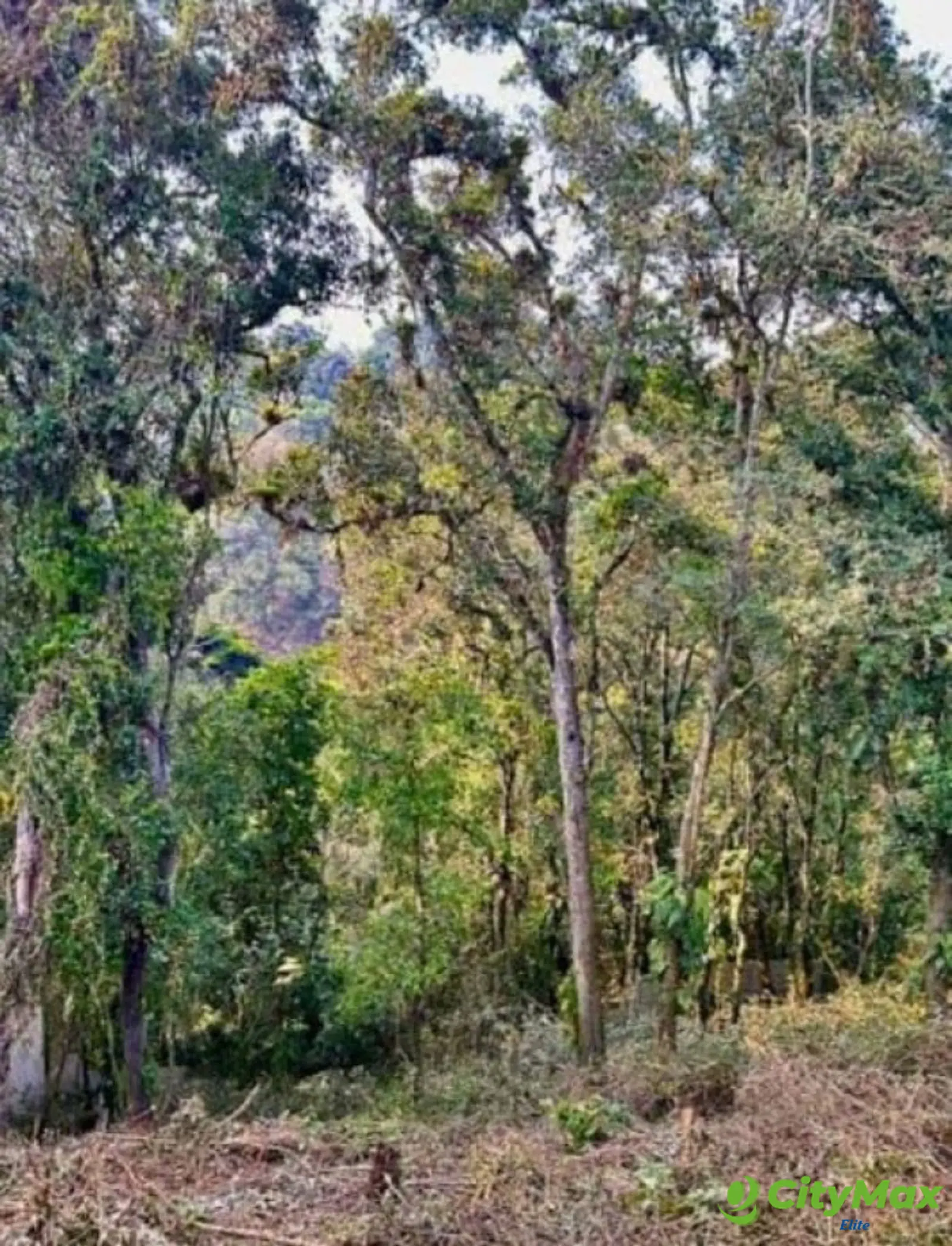 Terreno en Venta en Santa Catarina Pinula - CAES - foto 1