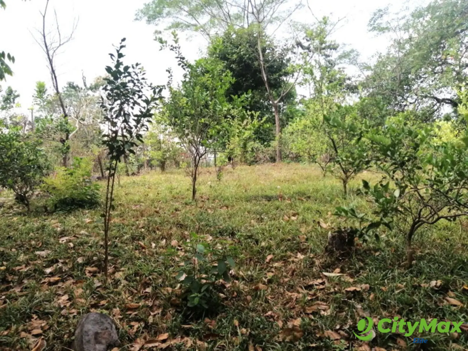 Terreno en Venta en Quintas Vallarta Escuintla - foto 1
