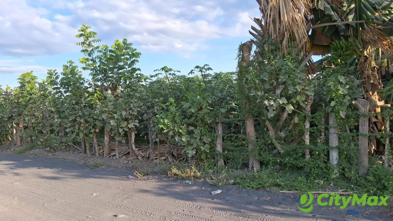 TERRENO EN VENTA EN ESCUINTLA - foto 1