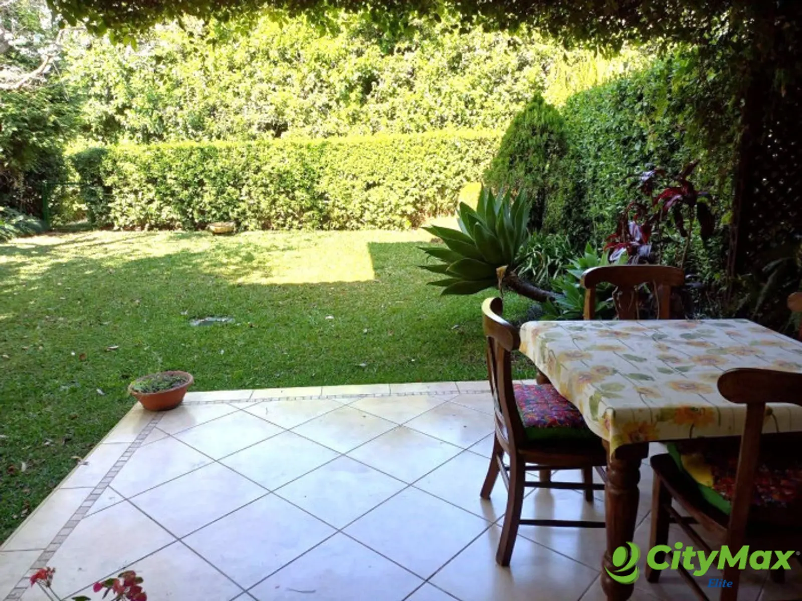 Apartamento en Venta y Alquiler - Portal del Bosque III - foto 1