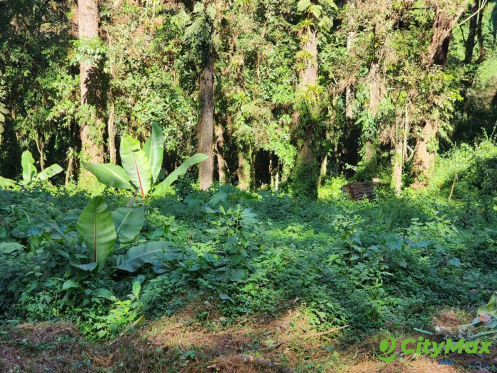 Terreno en Venta en Santa Catarina Pinula - Km 12.5 CES - foto 1