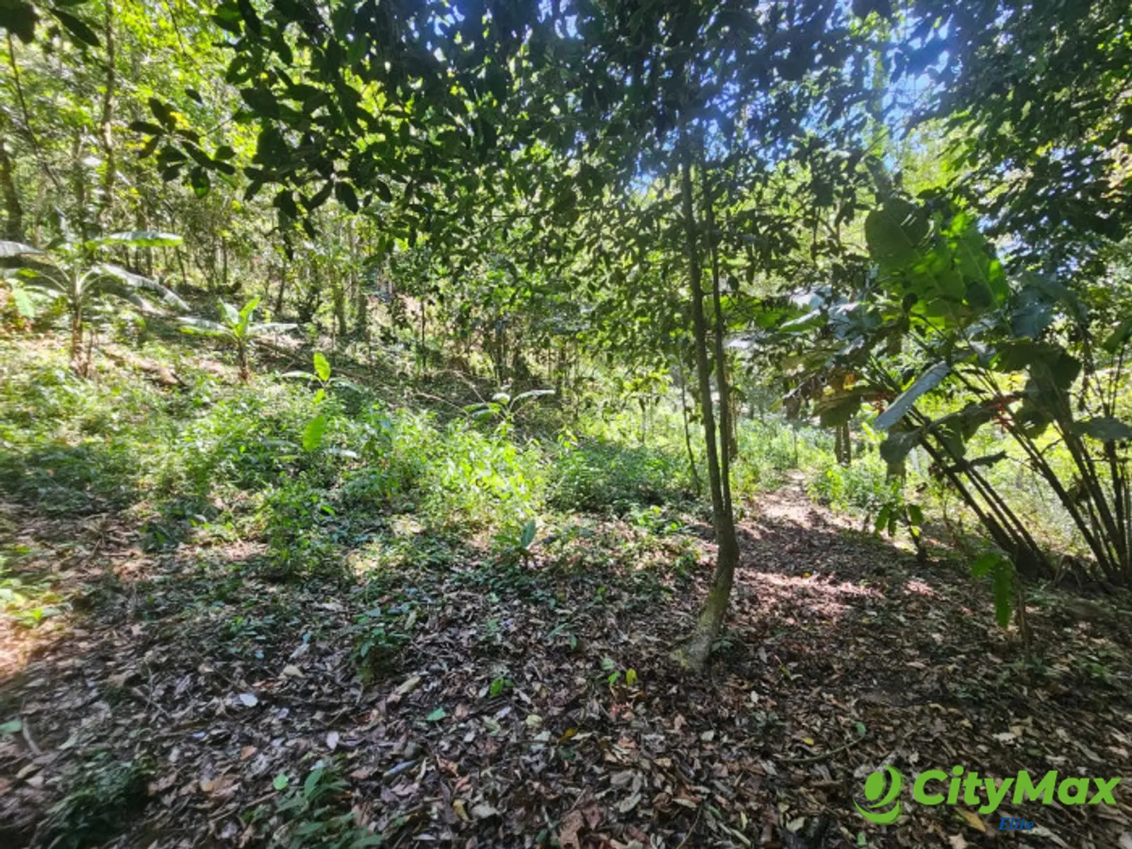 HACIENDA EN VENTA - FINCA EL MAGUEY - foto 1