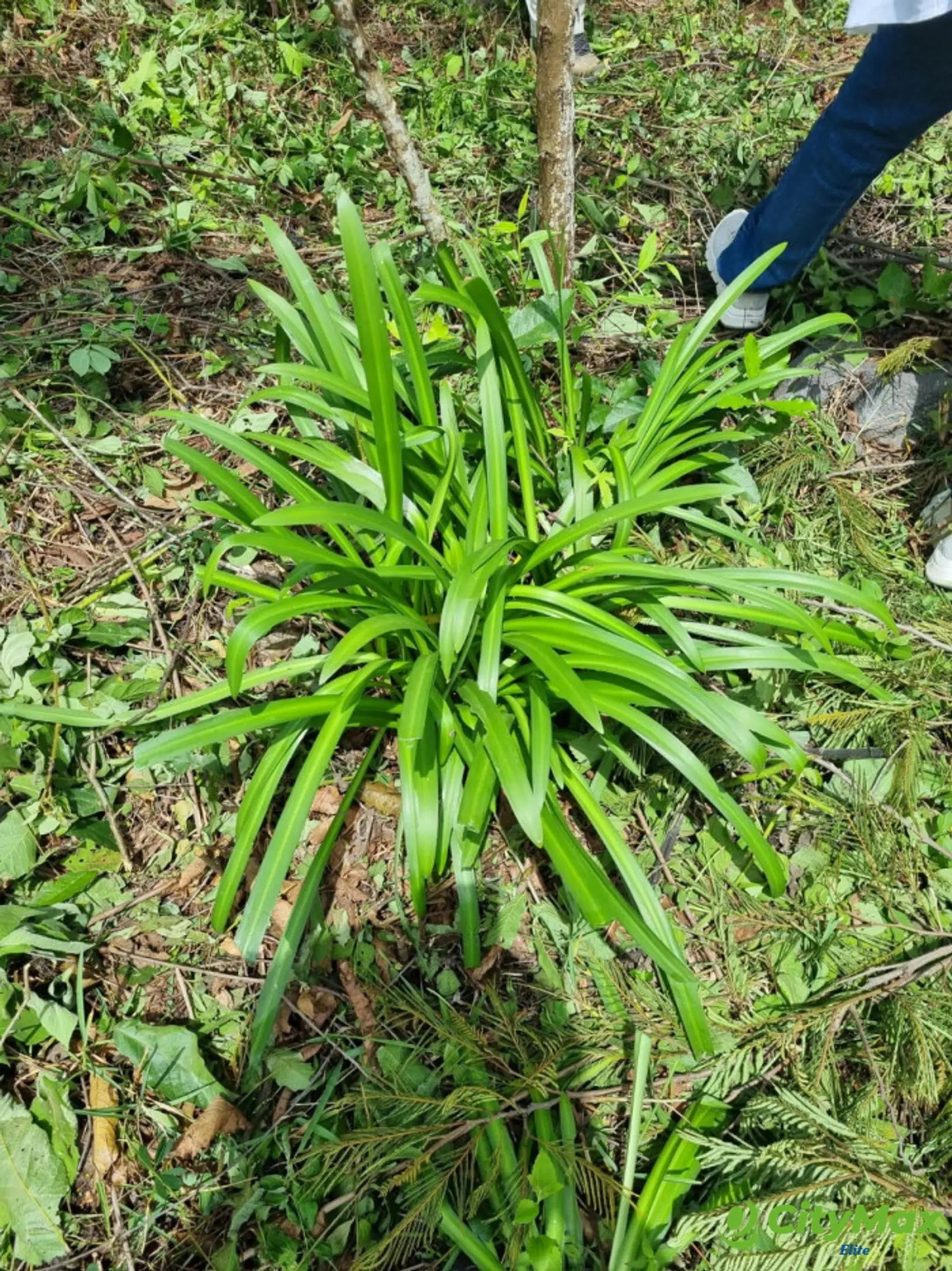 TERRENO EN VENTA EN GRANJA BUENOS AIRES - foto 1