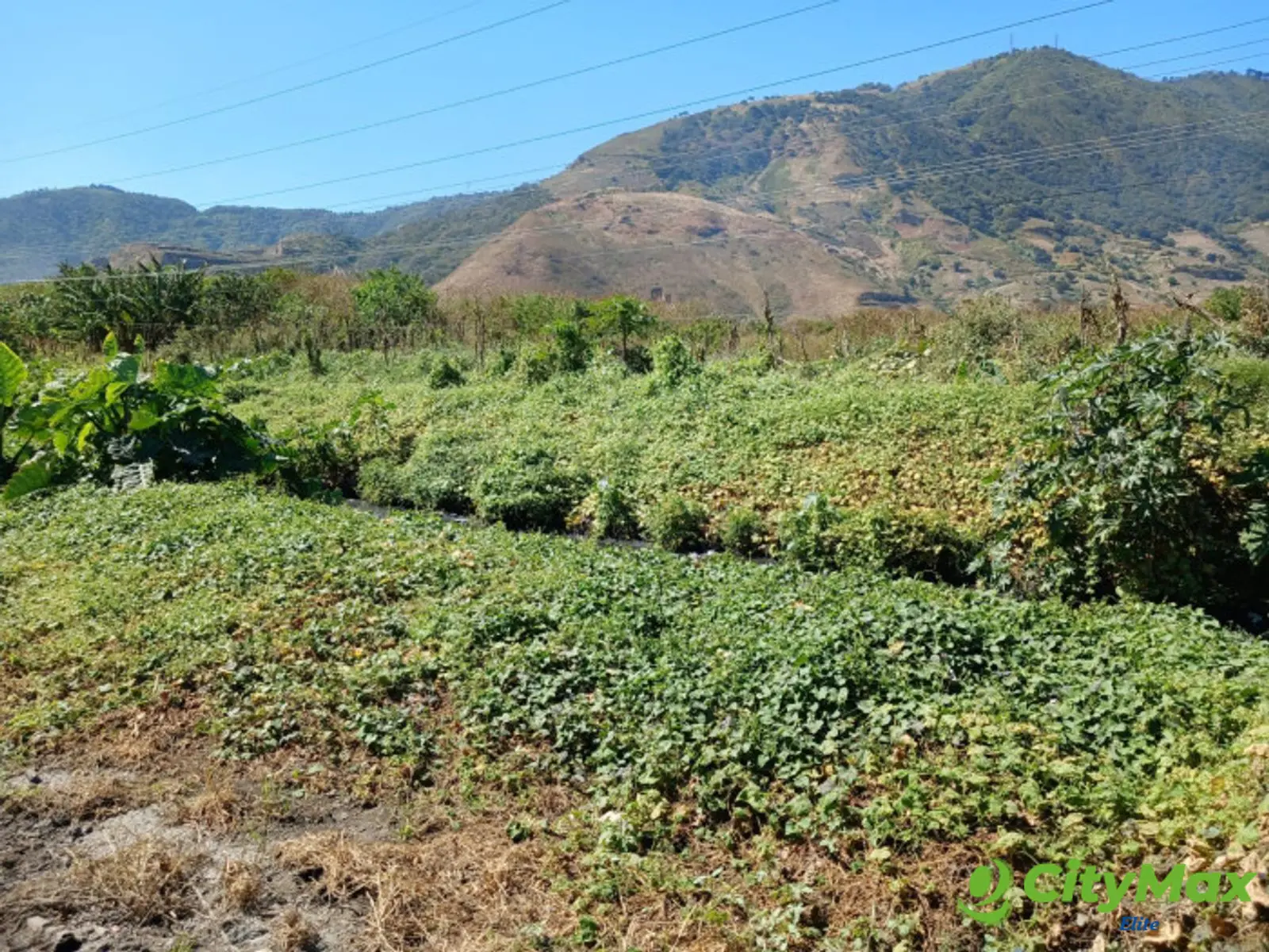 Terreno en Venta en Amatitlán - foto 4