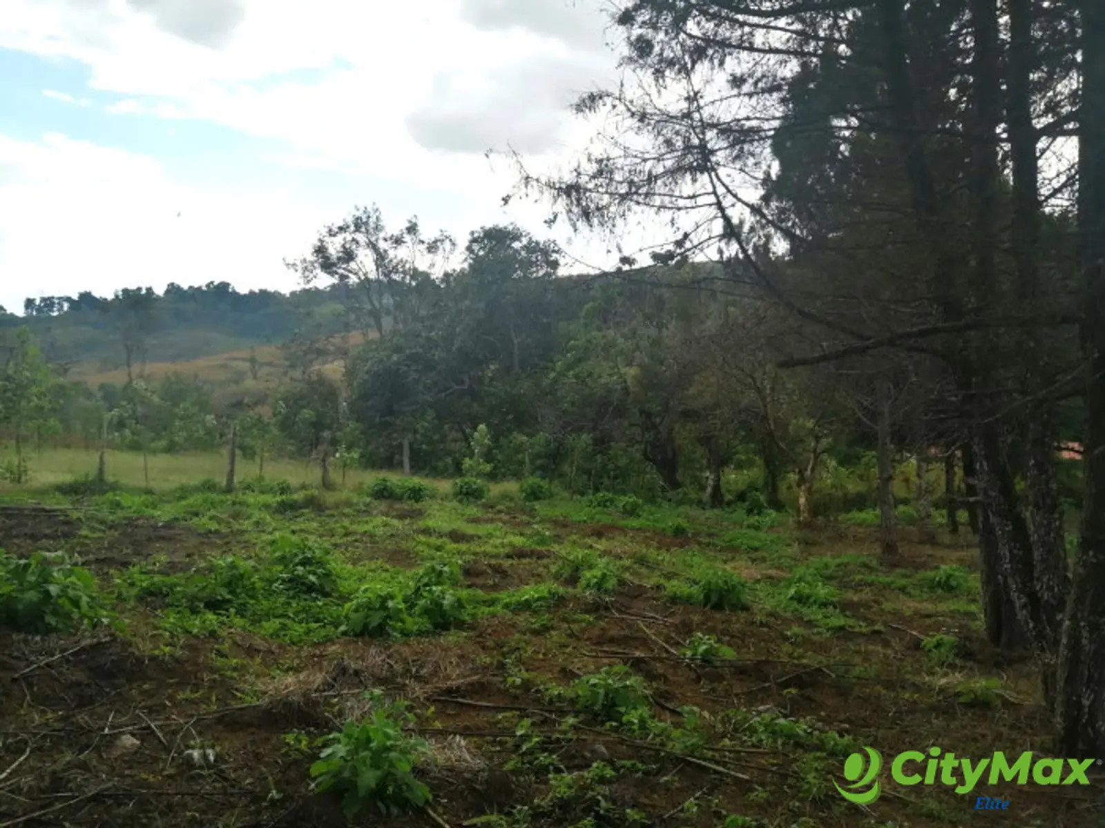 TERRENO RESIDENCIAL EN VENTA EN VILLA CANALES - foto 6
