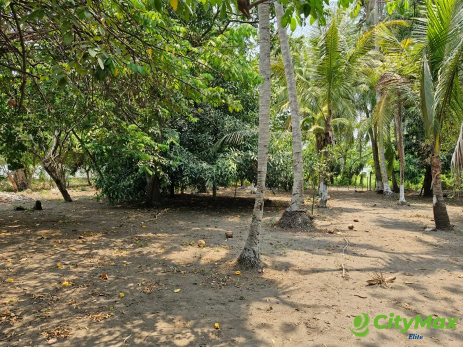Terreno en Venta en Km 76.5 Antigua Carretera al Puerto - foto 14