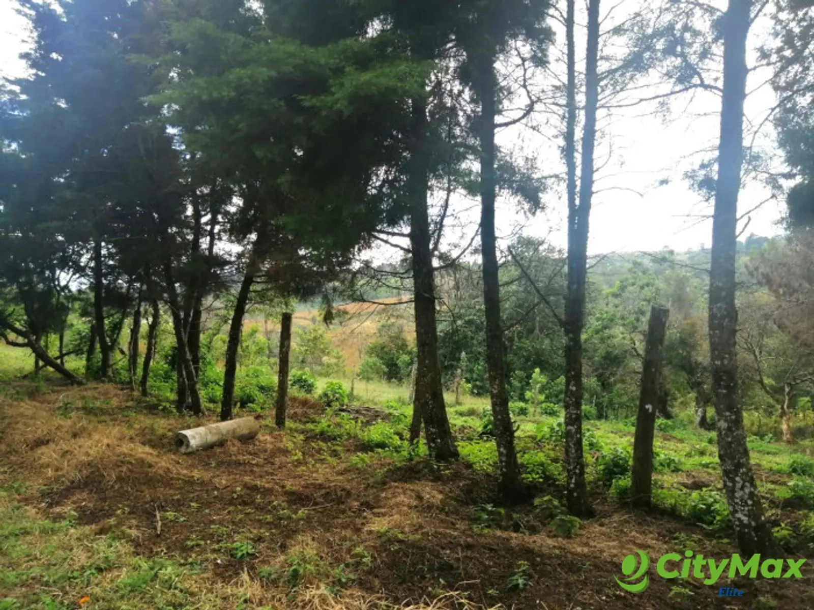 TERRENO RESIDENCIAL EN VENTA EN VILLA CANALES - foto 4