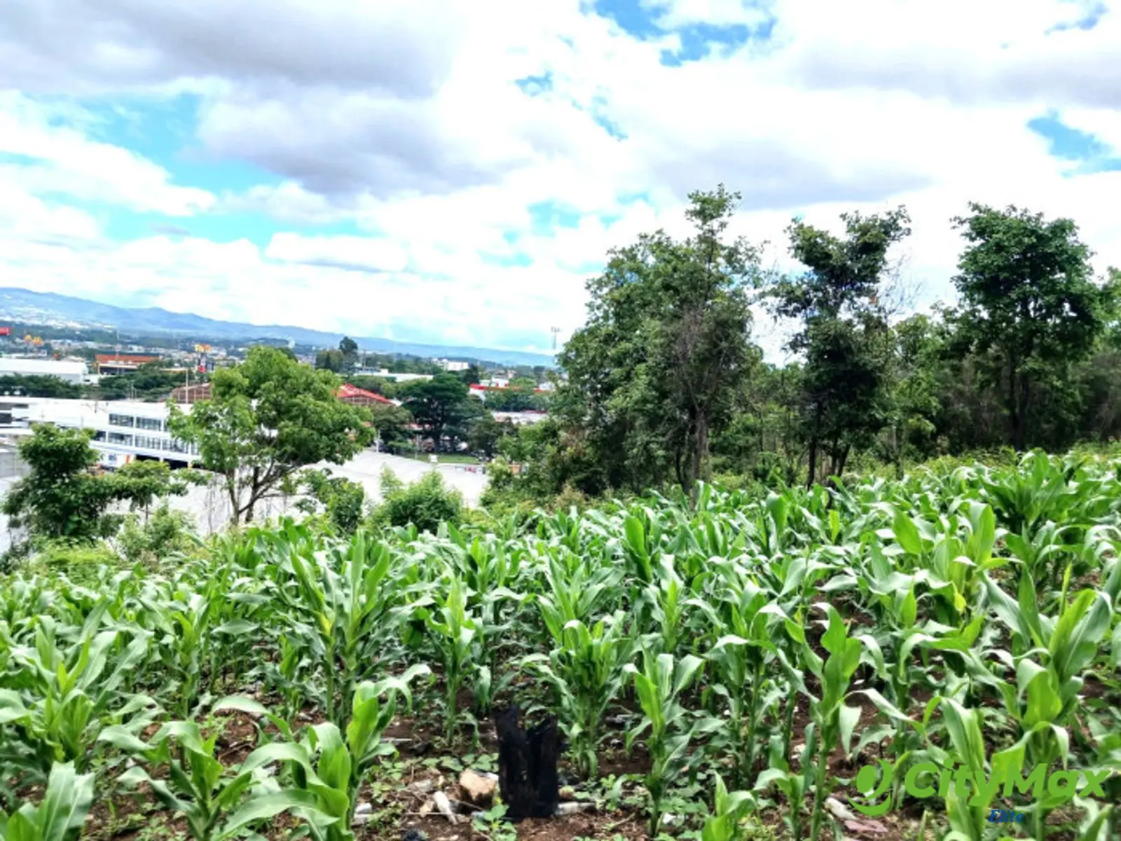 Terreno en Venta cerca de Calzada La Paz, en Zona 17 - foto 6
