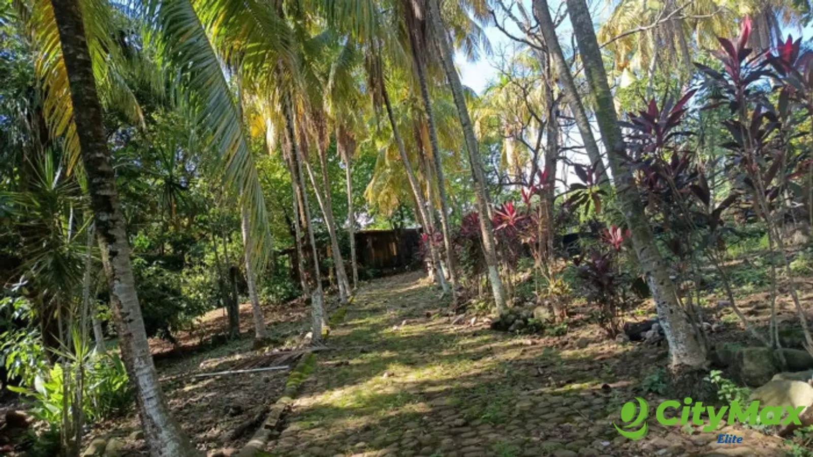VENTA DE TERRENO EN KM 73, CARRETERA A TAXISCO - foto 8