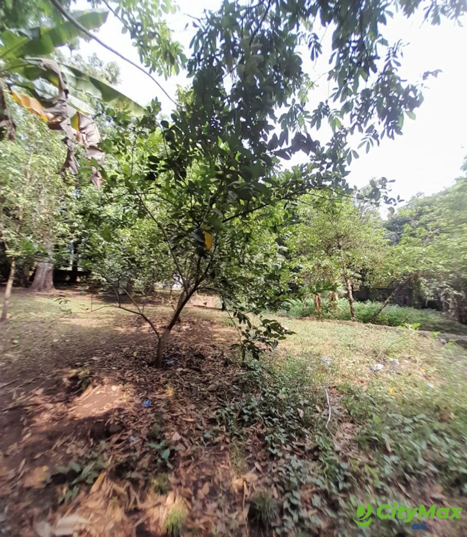 Terreno en Venta en Escuintla - foto 8
