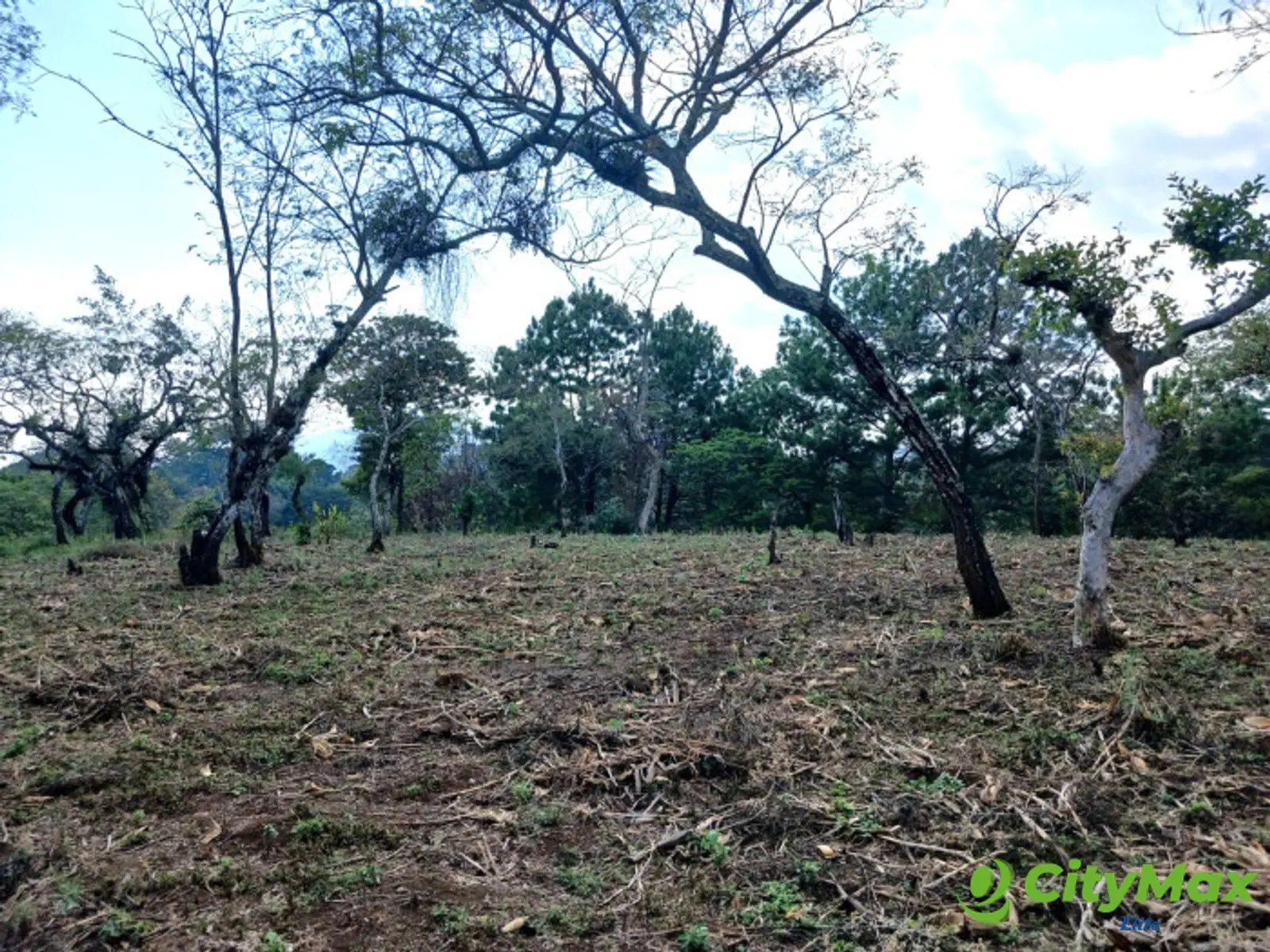 TERRENO EN VENTA EN FRAIJANES - foto 3