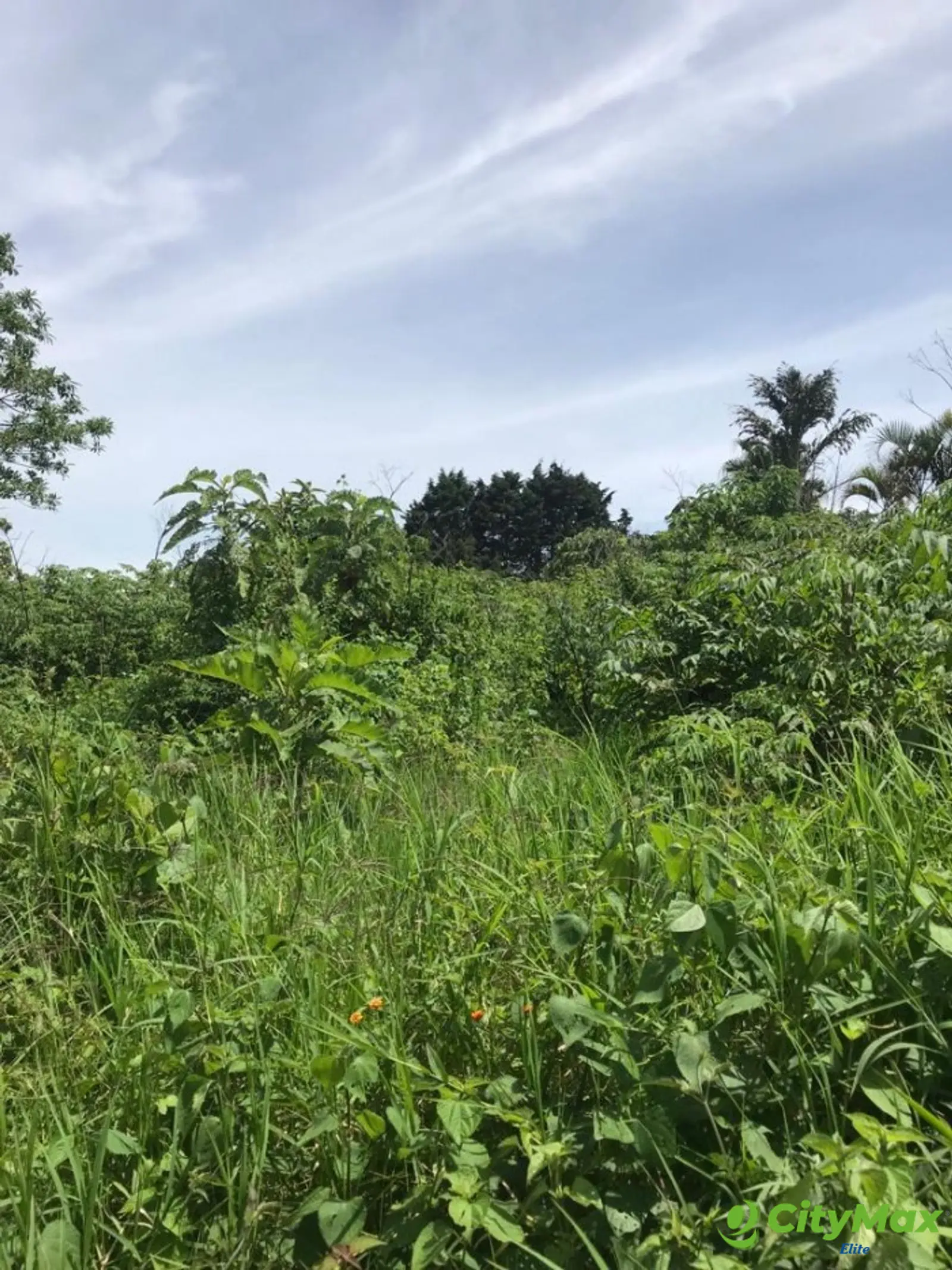 Terreno en Venta en Carretera a Santa Elena Barillas - foto 4