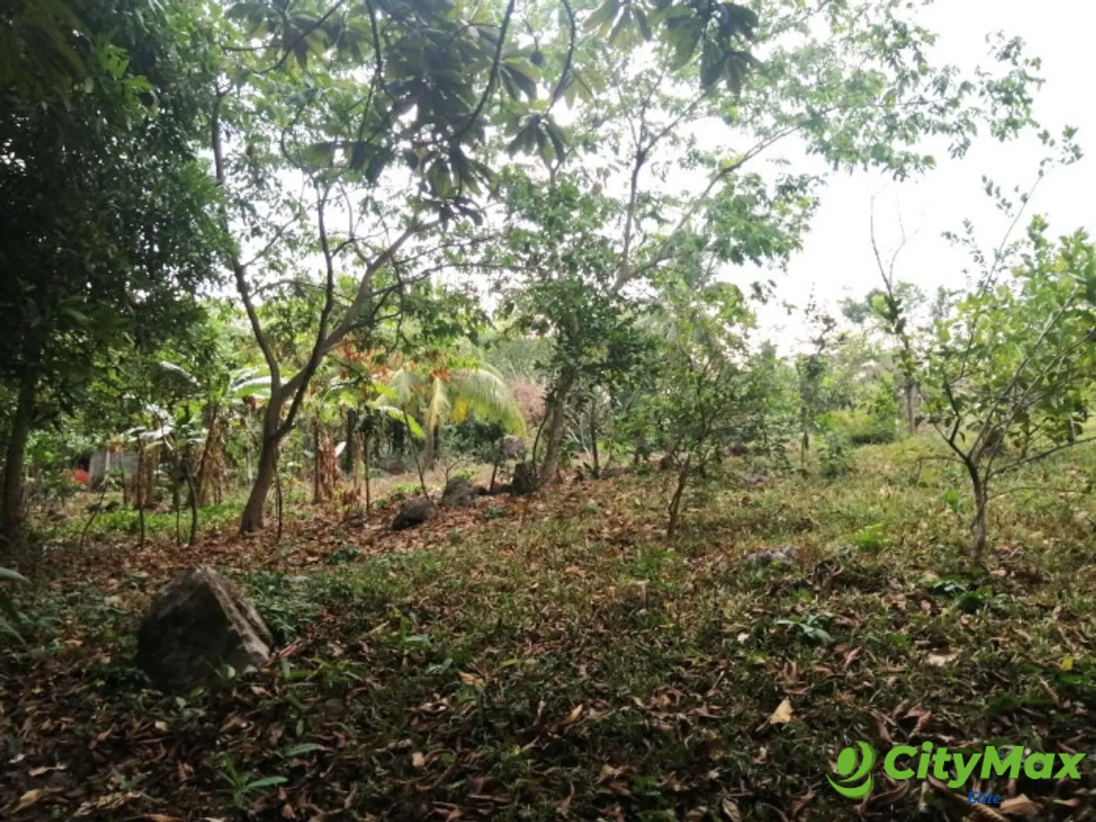Terreno en Venta en Quintas Vallarta Escuintla - foto 17