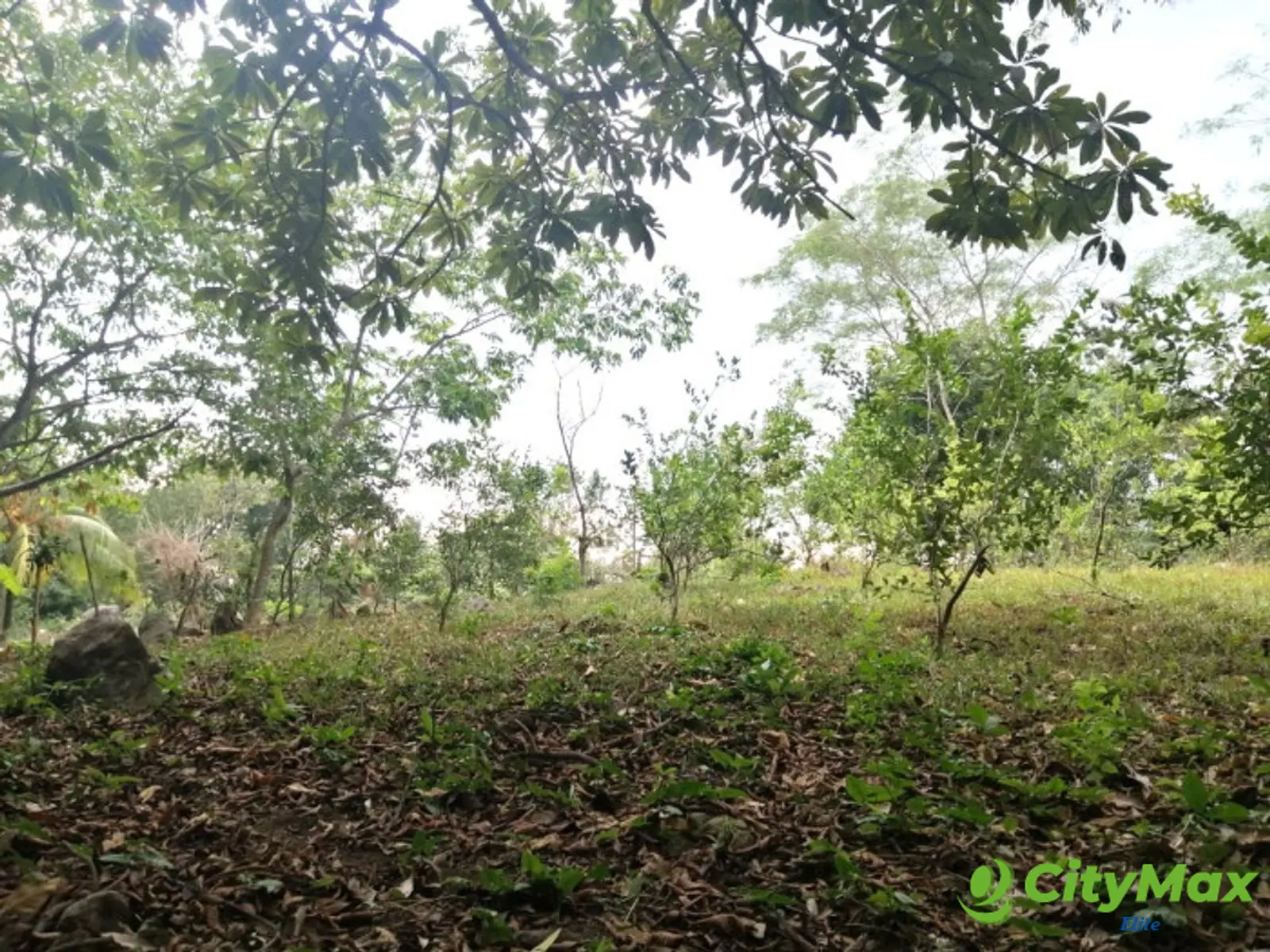 Terreno en Venta en Quintas Vallarta Escuintla - foto 18