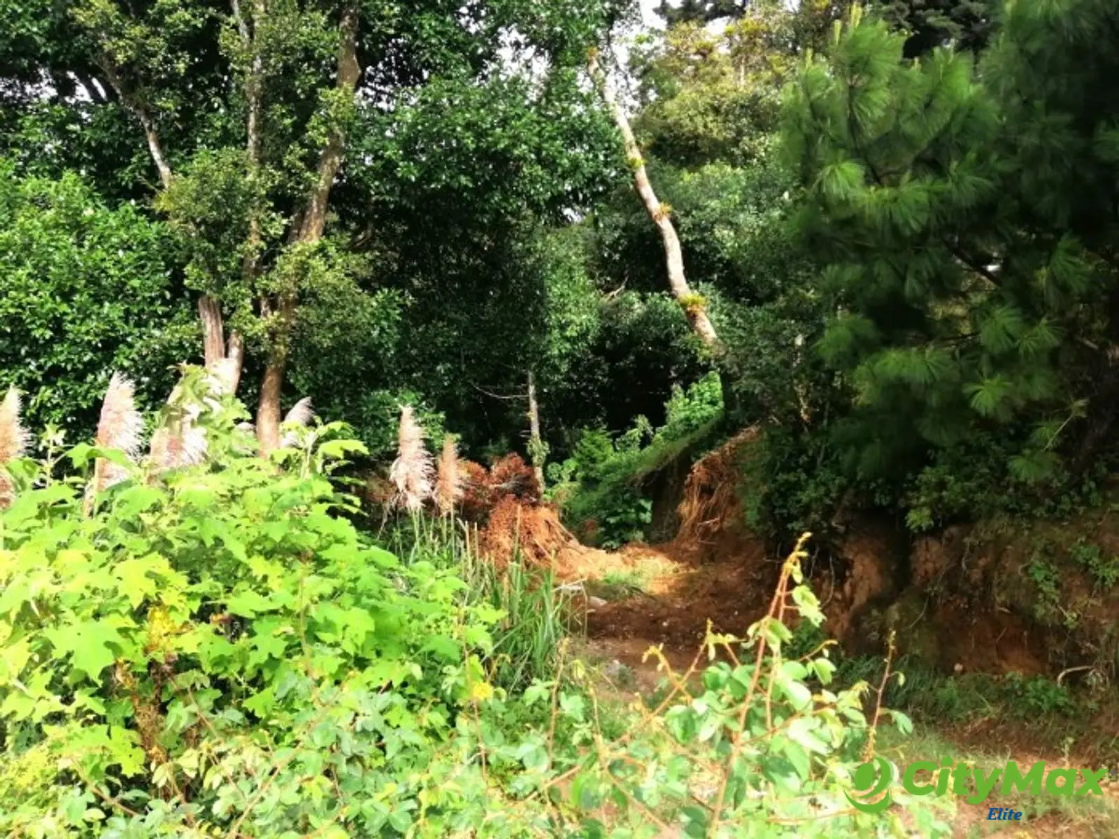 Terreno en venta en Piedra Parada, CES Guatemala - foto 14