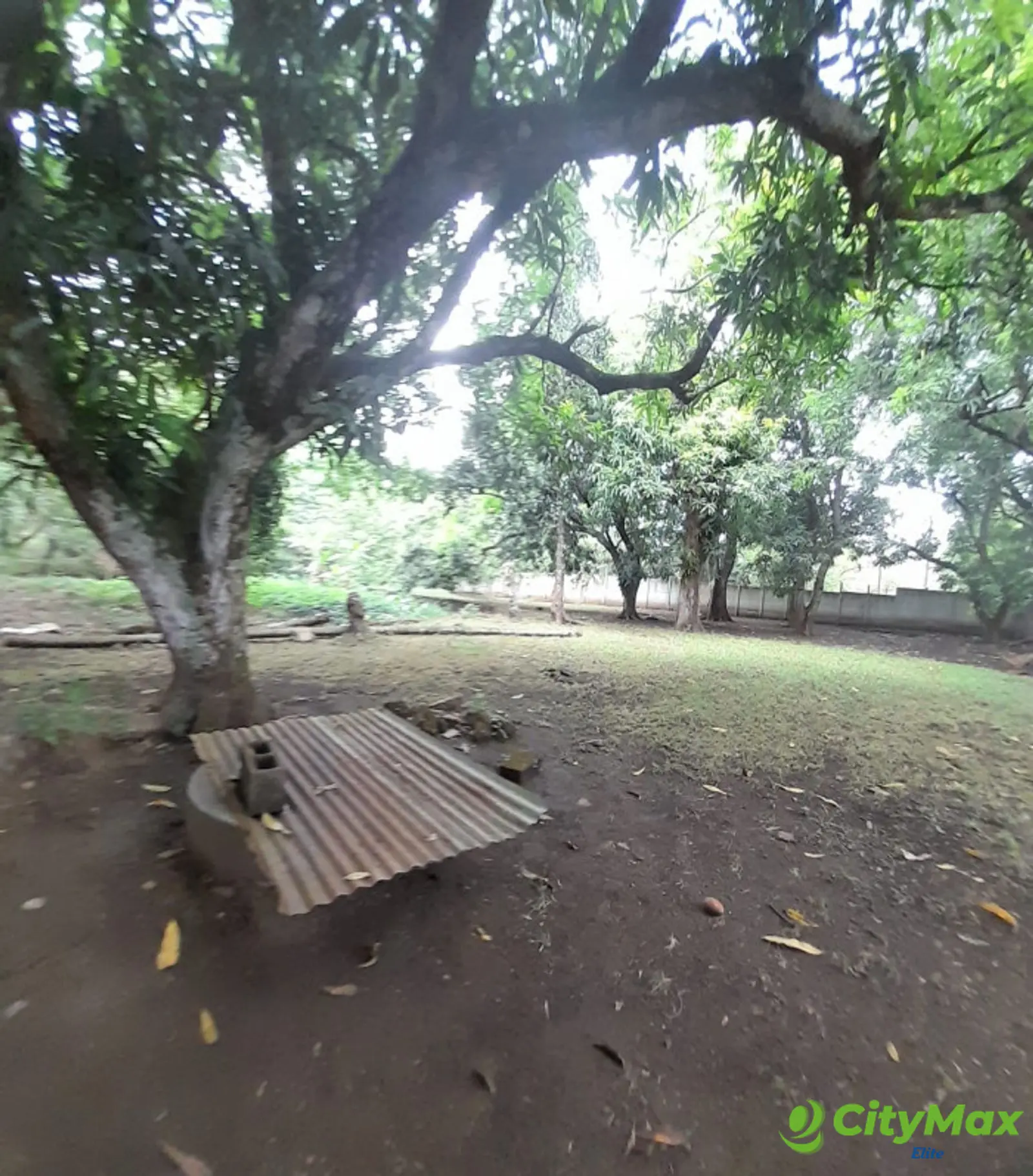 Terreno en Venta en Escuintla - foto 6
