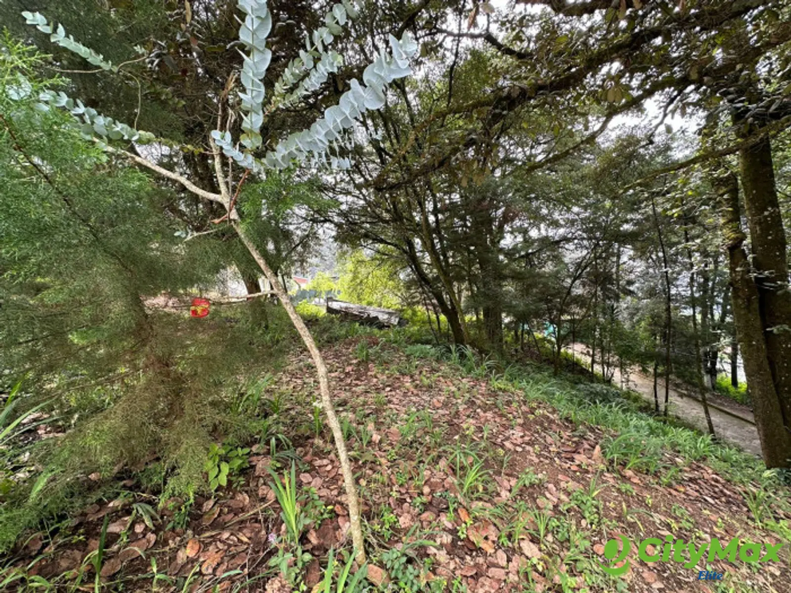 Terreno Residencial en Venta - Santa Lucia Milpas Altas - foto 4