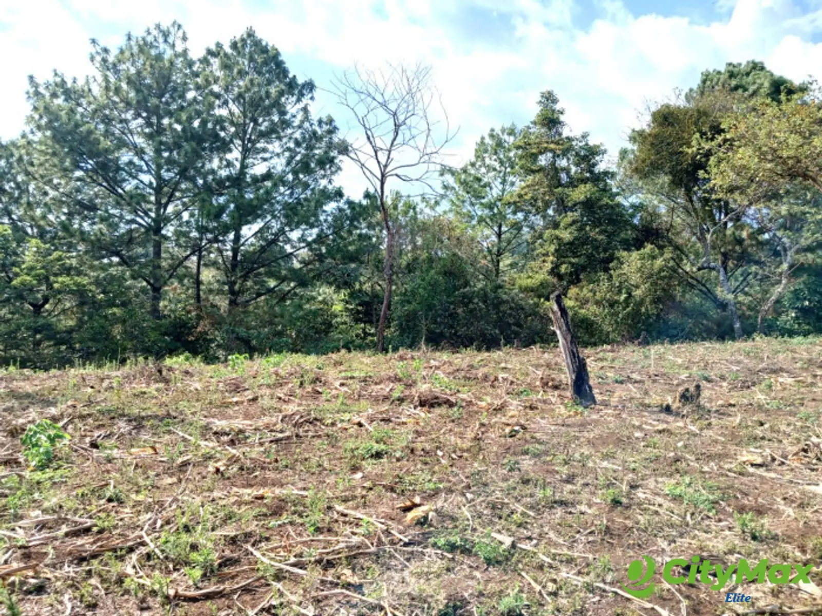 TERRENO EN VENTA EN FRAIJANES - foto 11