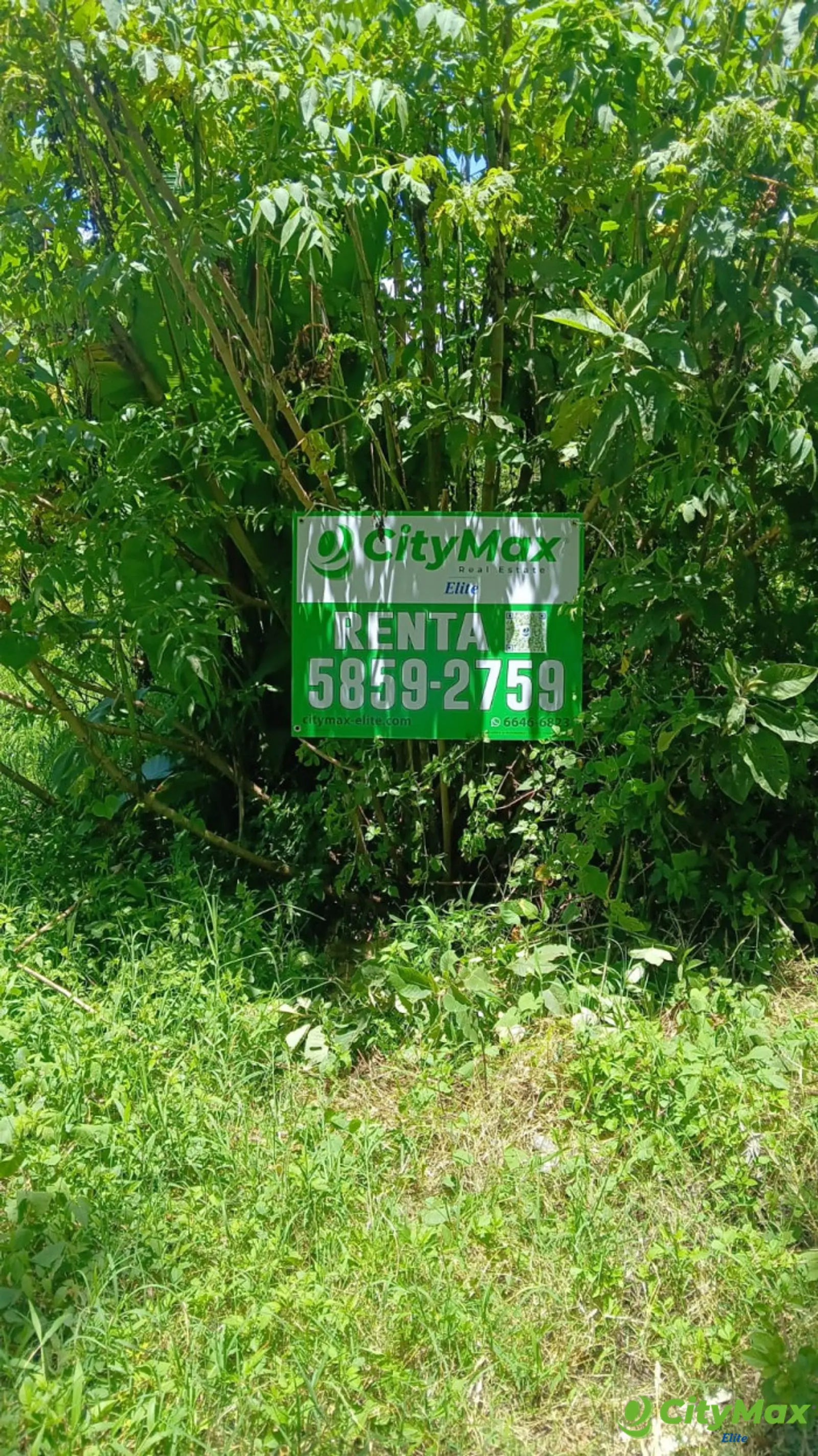 TERRENO EN ALQUILER EN CAES KM 19.5 - foto 4