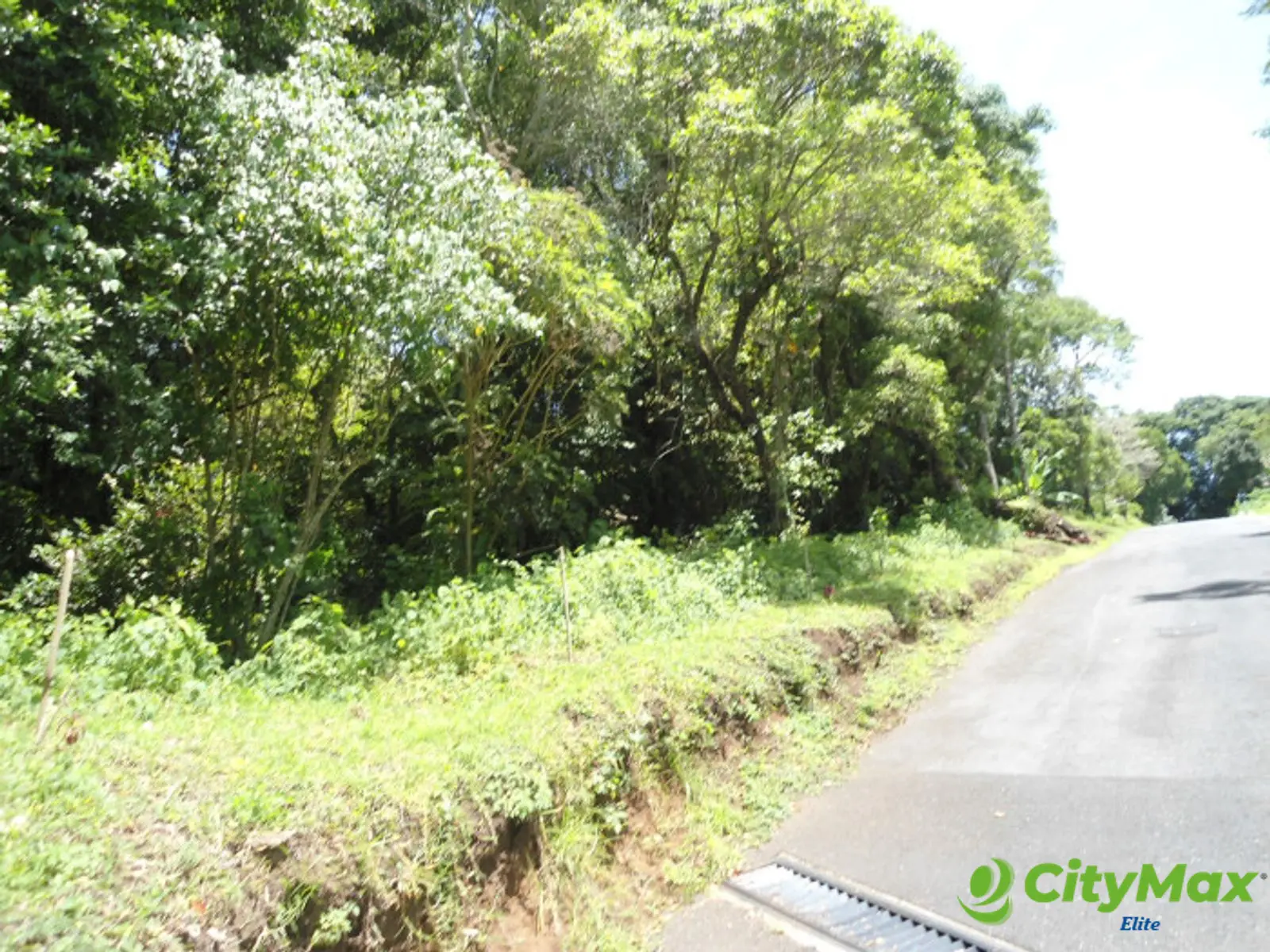 Terreno en Venta en San German de la Montaña Fraijanes - foto 3