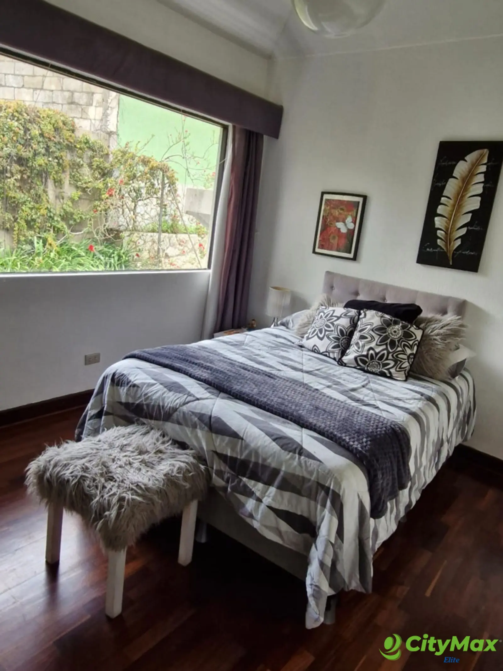 Venta o Renta de Casa - foto 27