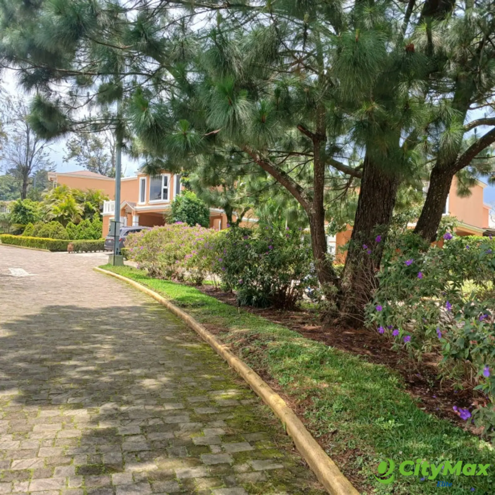 TERRENO EN VENTA EN SAN MARTIN DE ALLENDE - CES - foto 10