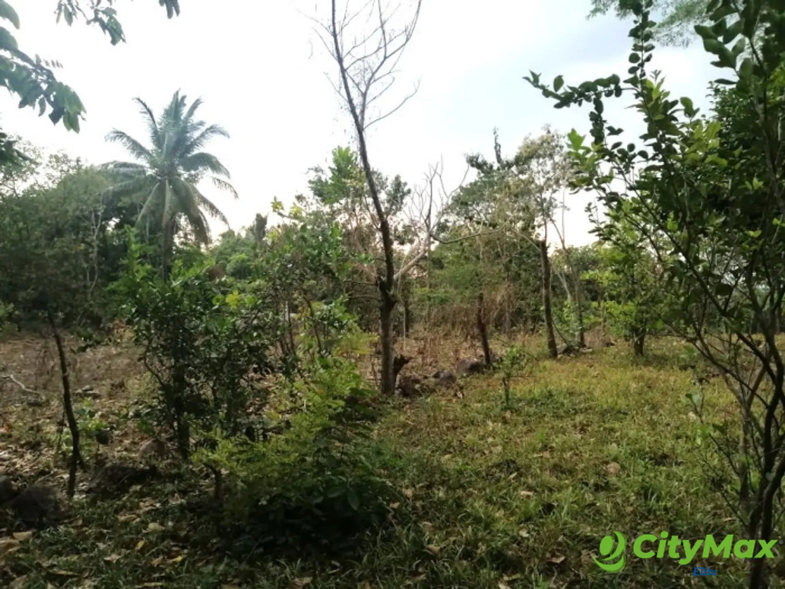 Terreno en Venta en Quintas Vallarta Escuintla - foto 14