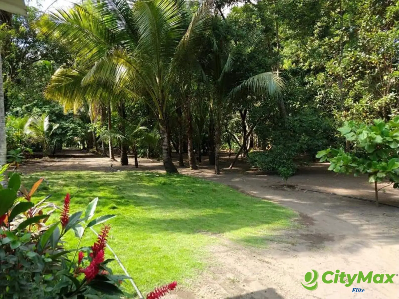 Terreno en Venta en Km 76.5 Antigua Carretera al Puerto - foto 7