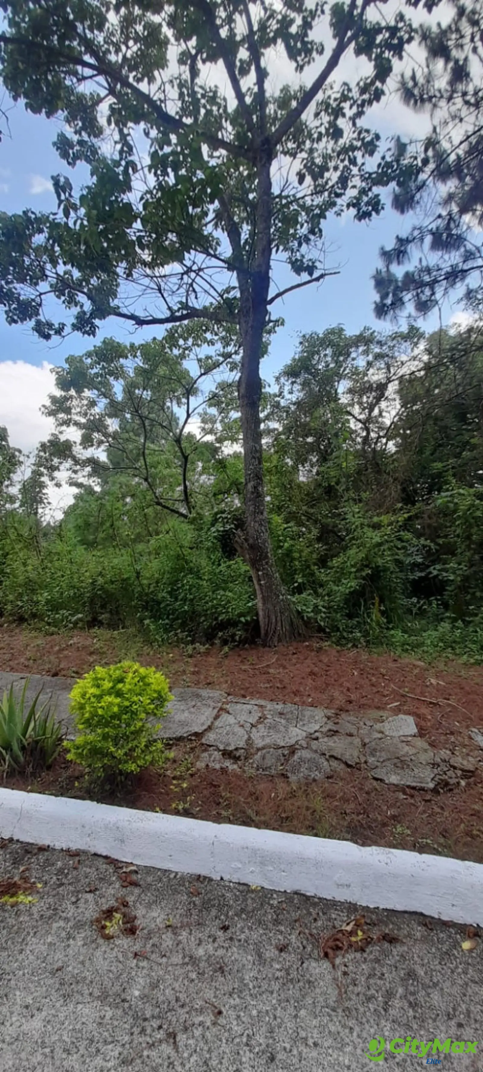 Terreno en Venta en Alta Vista Country Club - foto 4