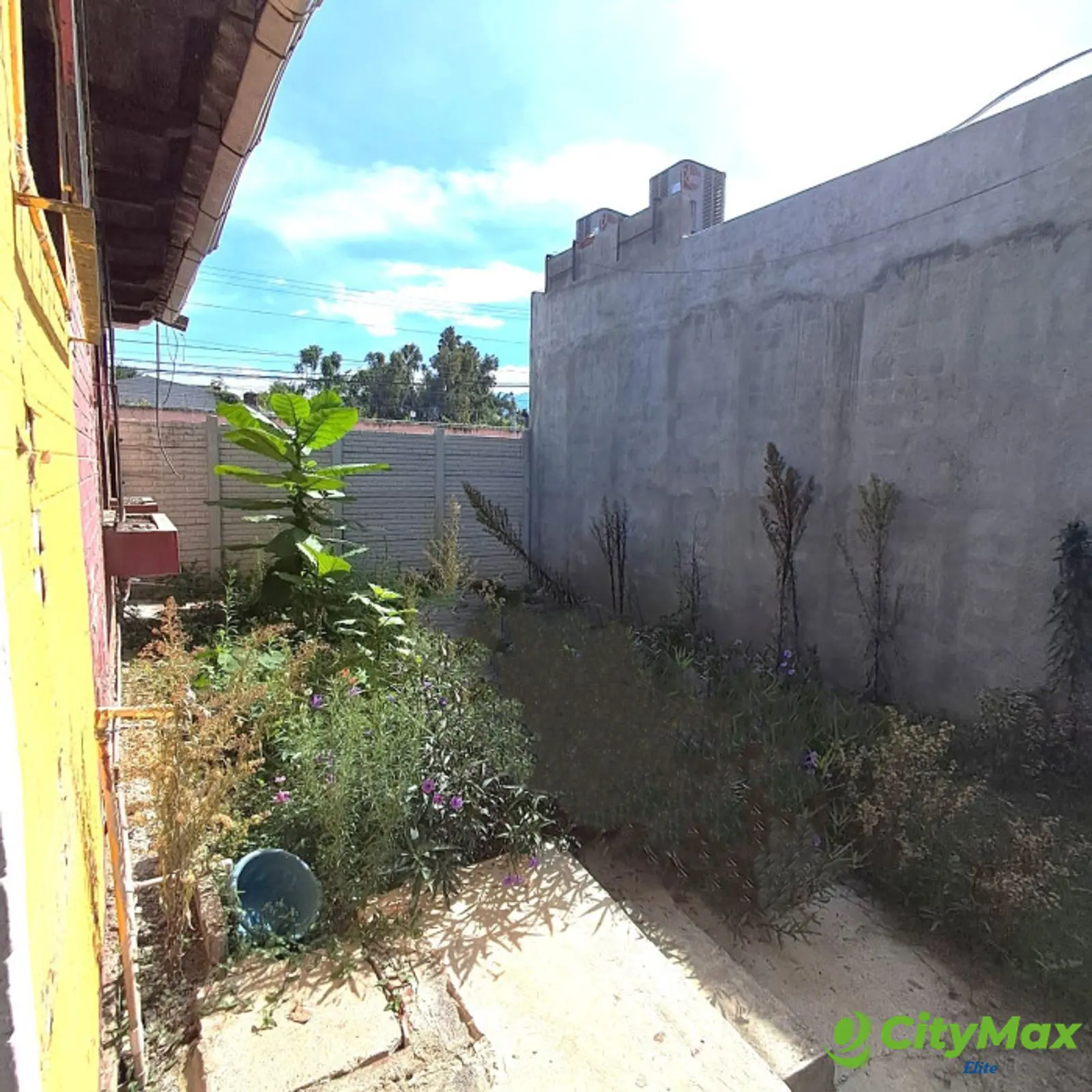 TERRENO + CASA EN ALQUILER EN CIUDAD VIEJA - foto 8