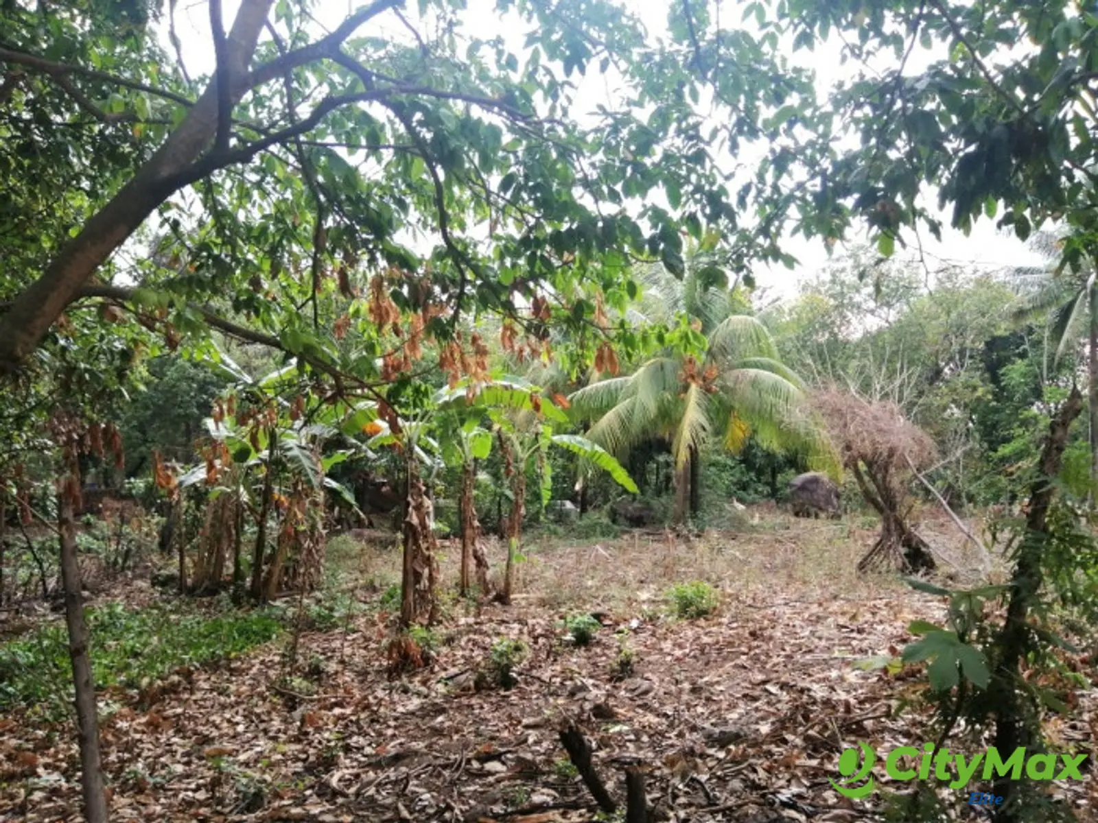 Terreno en Venta en Quintas Vallarta Escuintla - foto 13