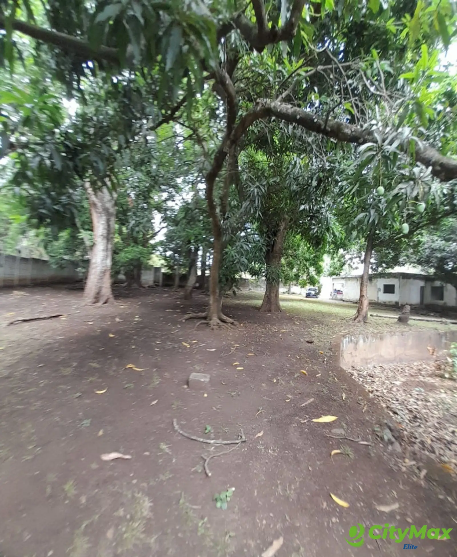 Terreno en Venta en Escuintla - foto 7