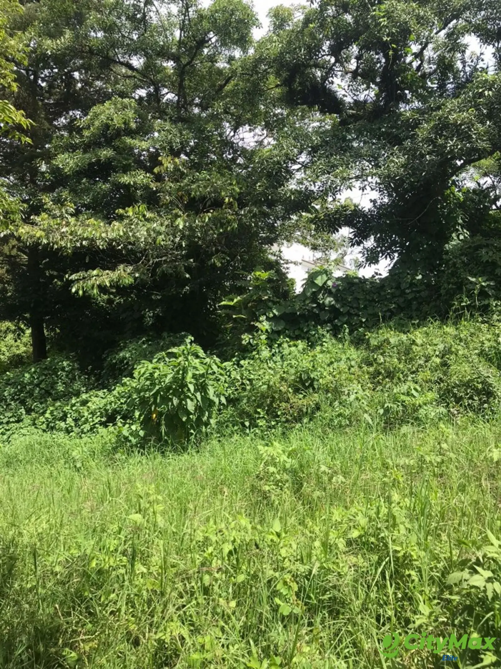 Terreno en Venta en Carretera a Santa Elena Barillas - foto 2